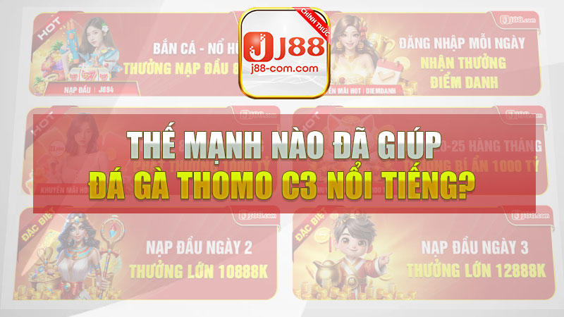 Thế mạnh nào đã giúp đá gà Thomo C3 nổi tiếng?