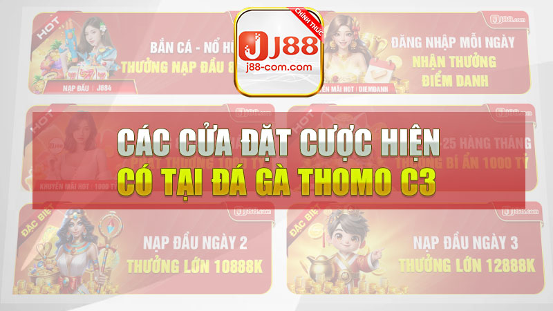 Các cửa đặt cược hiện có tại đá gà Thomo C3